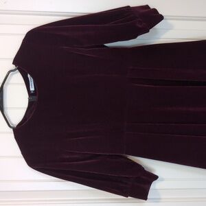 Zara Women's Velvet Dress in Deep Burgundy